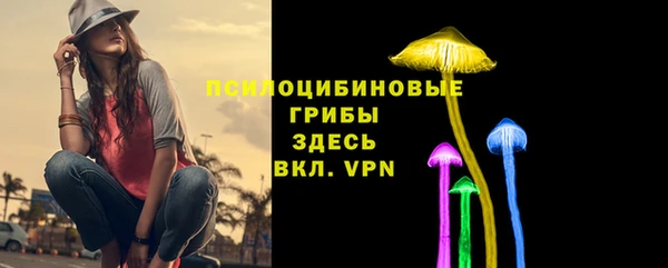 spice Белокуриха