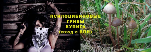 бошки Беломорск